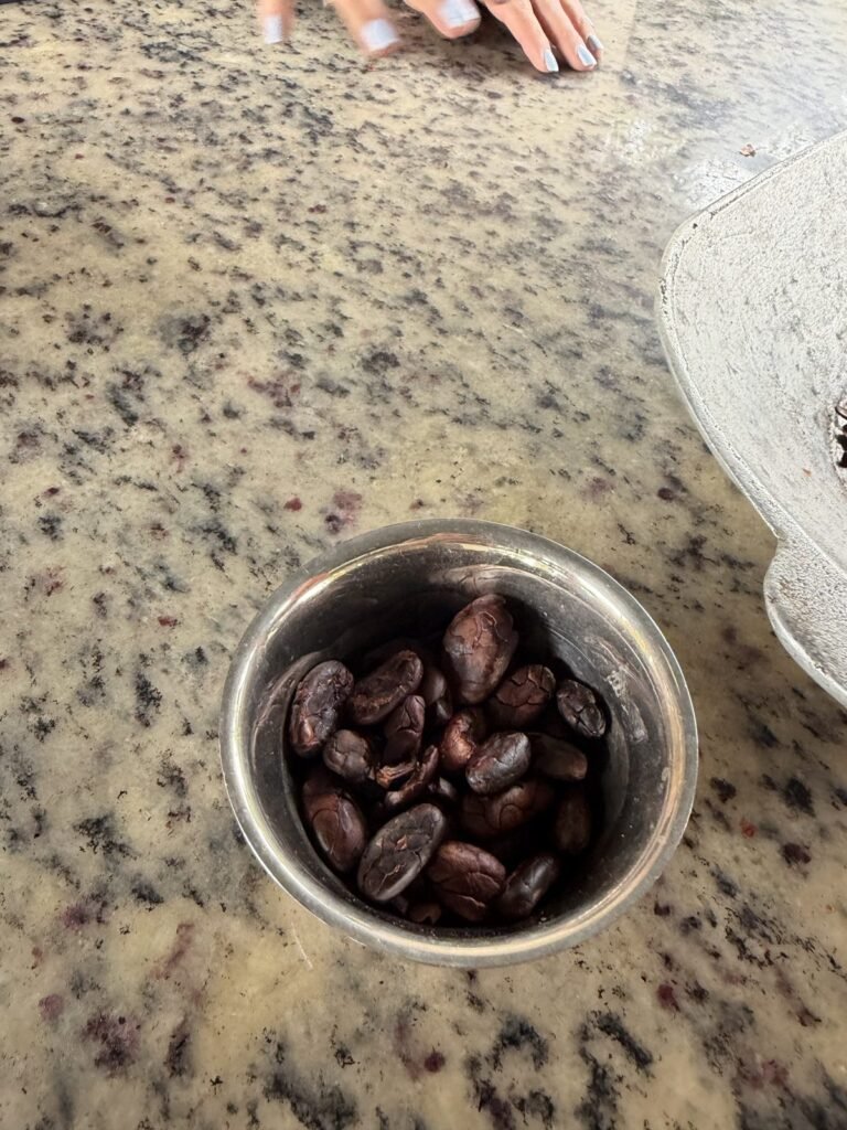 Los granos de cacao, listos para tostar