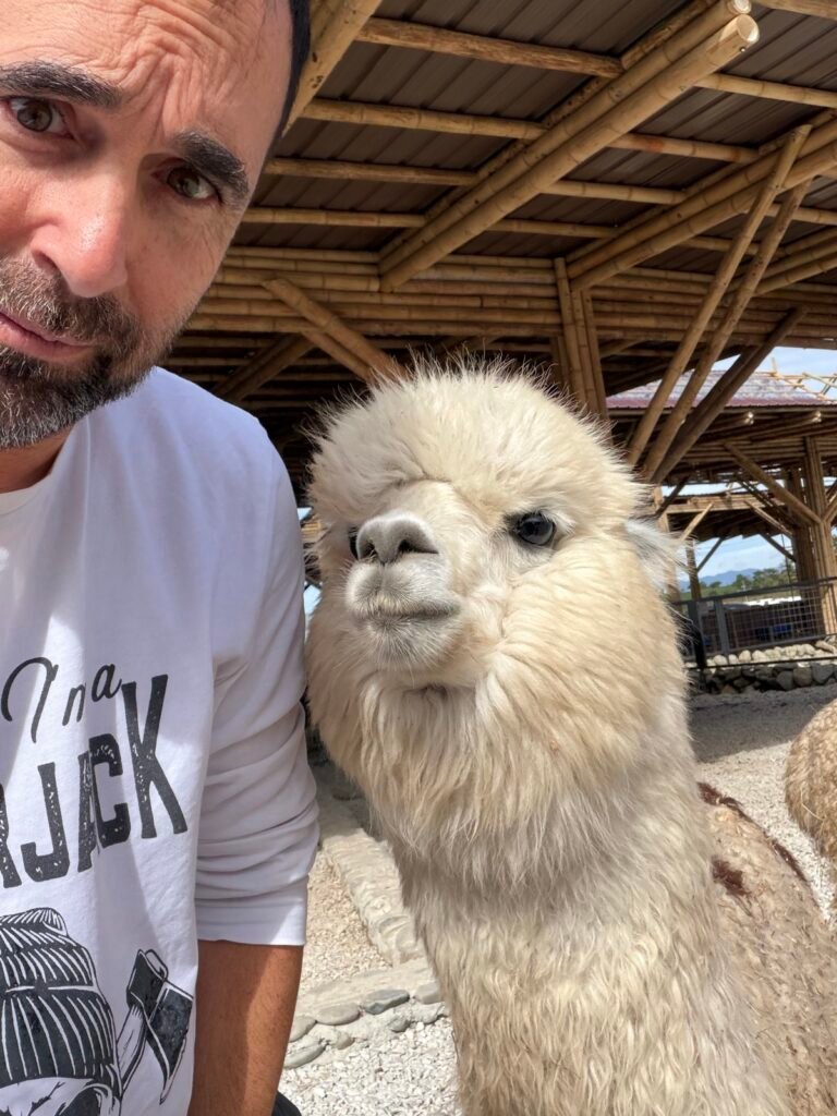 Selfie con una alpaca muy simpática