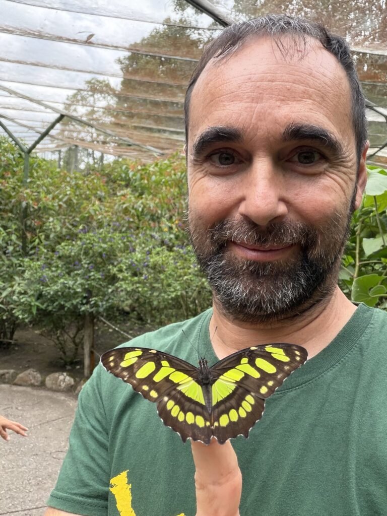Una mariposa malaquita posada en el dedo
