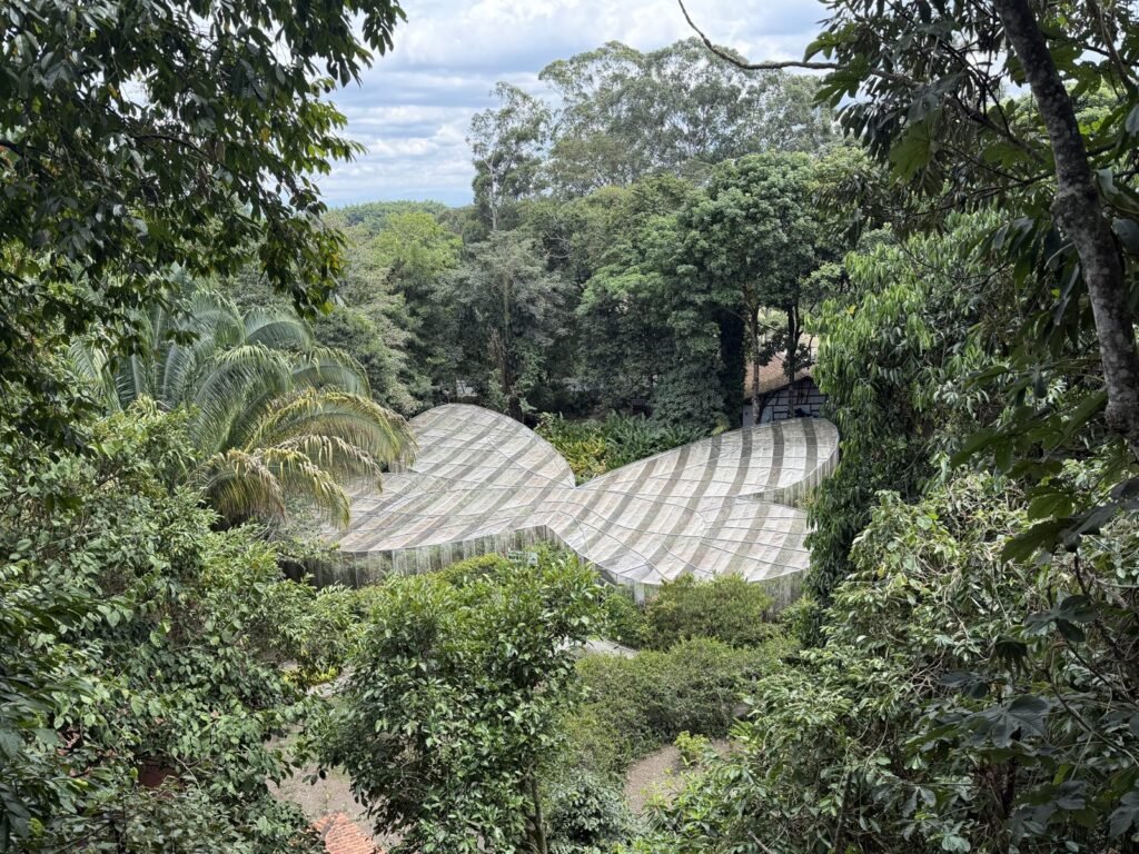 Vistas del Jardín Botánico del Quindío