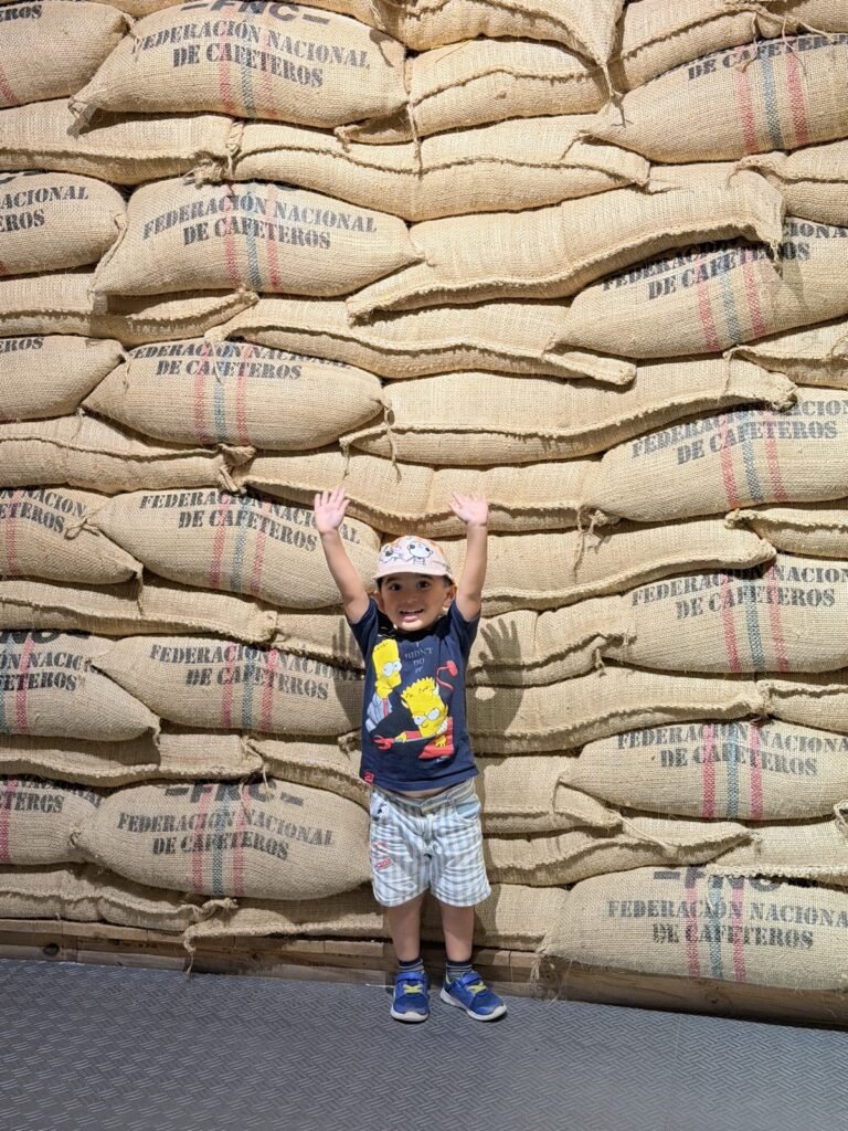 Entre sacos de café