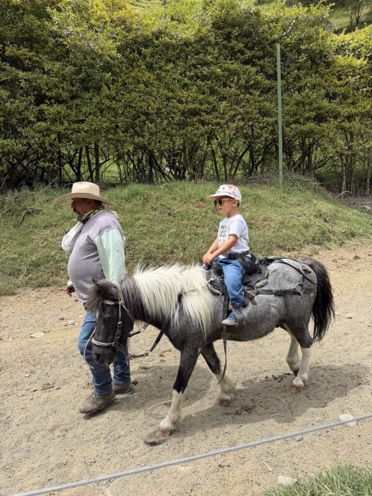El paseo en poni del peque