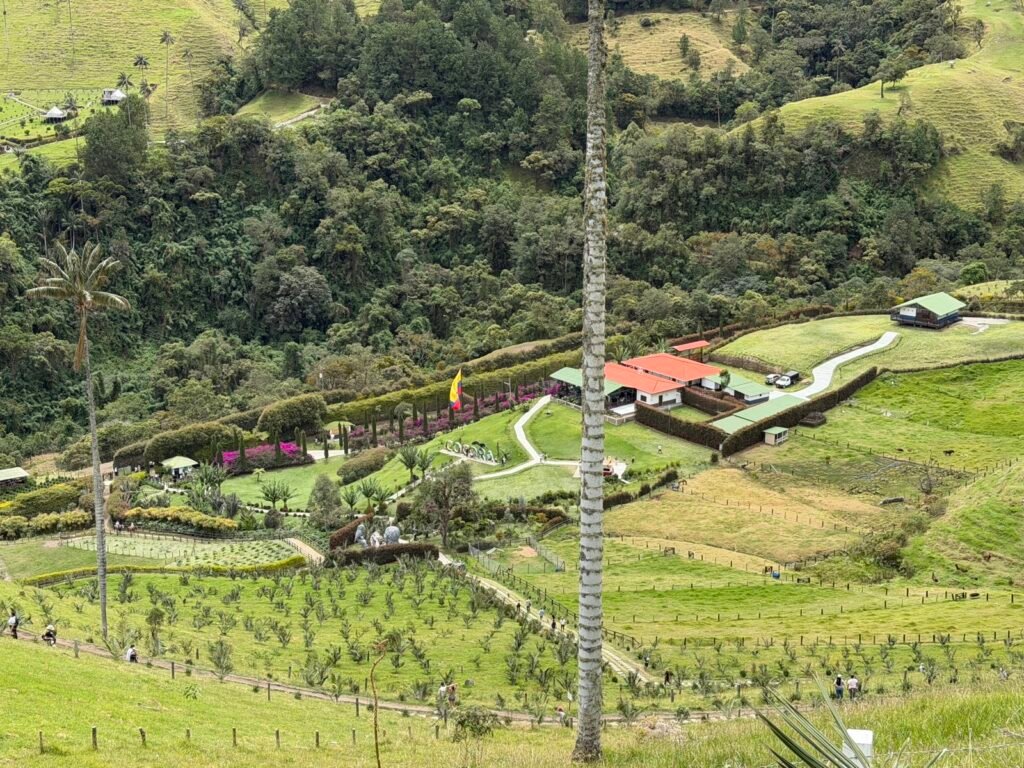 Vistas del valle desde lo alto